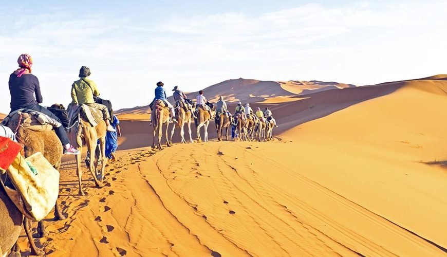 Randonnée à dos de chameau Sharm El Sheikh