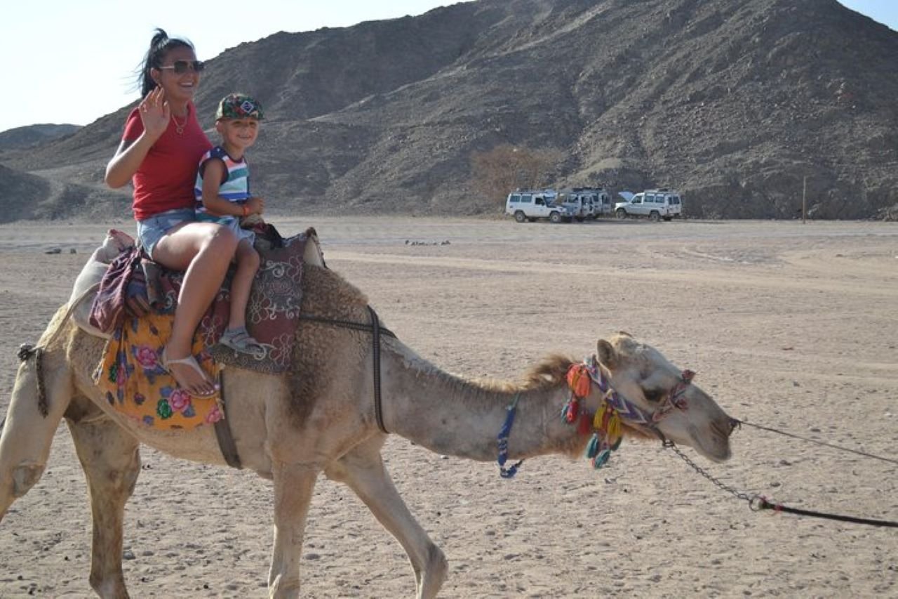 One Hour Camel Riding Adventure with Transfer from Sharm El-Sheikh