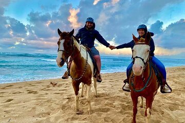 Horse Swimming & Beach Ride Adventure in Sharm El-Sheikh