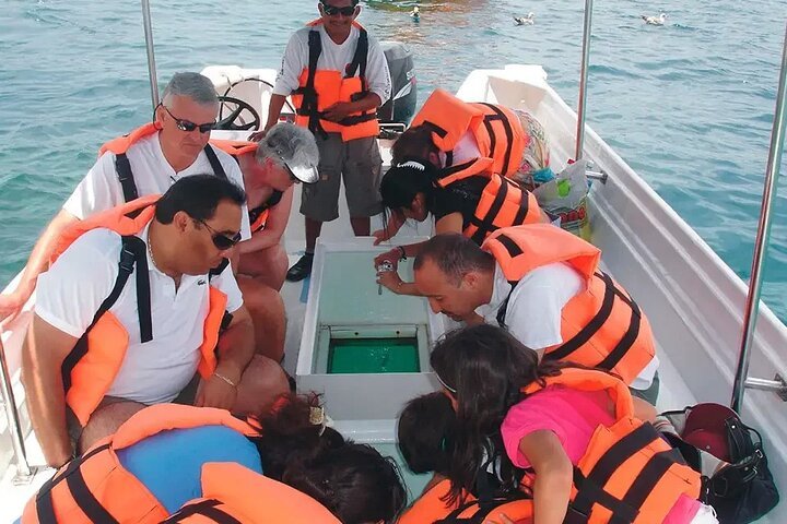 1-Hour Glass-Bottom Boat Tour with Private Transfer from Sharm El Sheikh