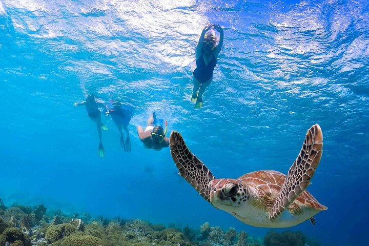 Abu Dabab Semi-Private Snorkeling Trip with Entrance & Lunch from Hurghada