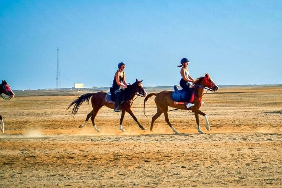 Horse riding near Red Sea Hurghada