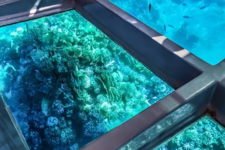 1-Hour Glass-Bottom Boat Tour with Private Transfer from Sharm El Sheikh