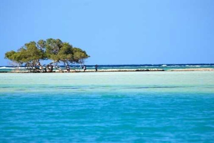 Hamata Island Schnorchelausflug mit Mittagessen ab Marsa Alam