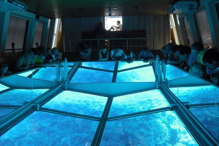 1-Hour Glass-Bottom Boat Tour with Private Transfer from Sharm El Sheikh