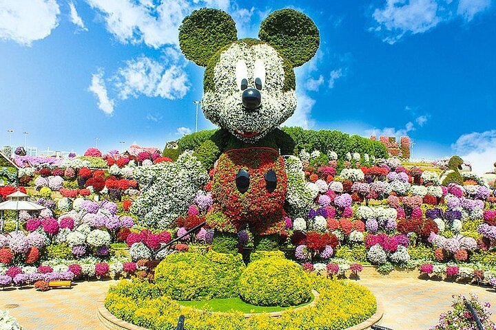 Dubai Miracle Garden Skip-the-Line Ticket with Private Transfer