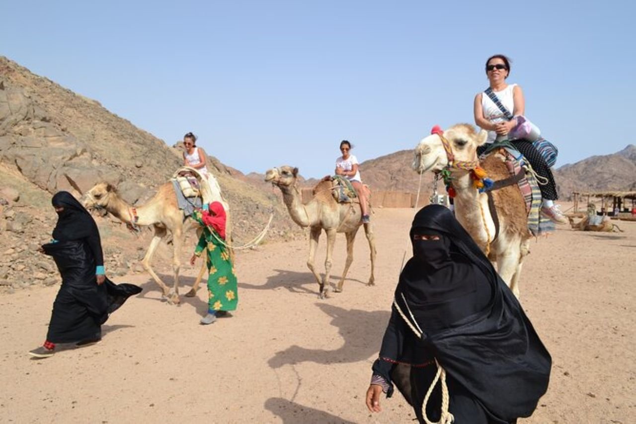 One Hour Camel Riding Adventure with Transfer from Sharm El-Sheikh