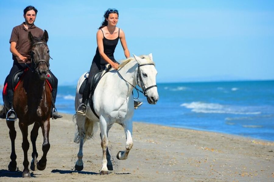 One-Hour Beach Horse Riding with Transfer from Hurghada