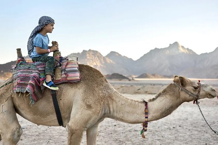 Marsa Alam Wüstenabenteuer: Jeep, Quad und Kamel mit Beduinen-Dinner