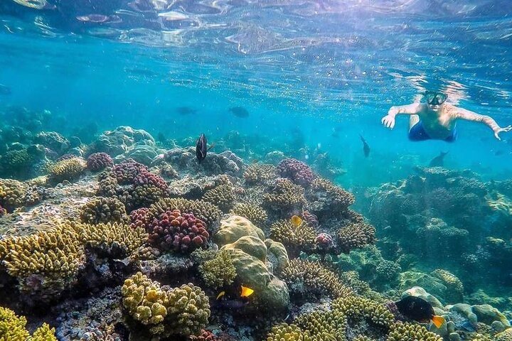 Eden Island Full-Day Boat Trip with Lunch from Hurghada