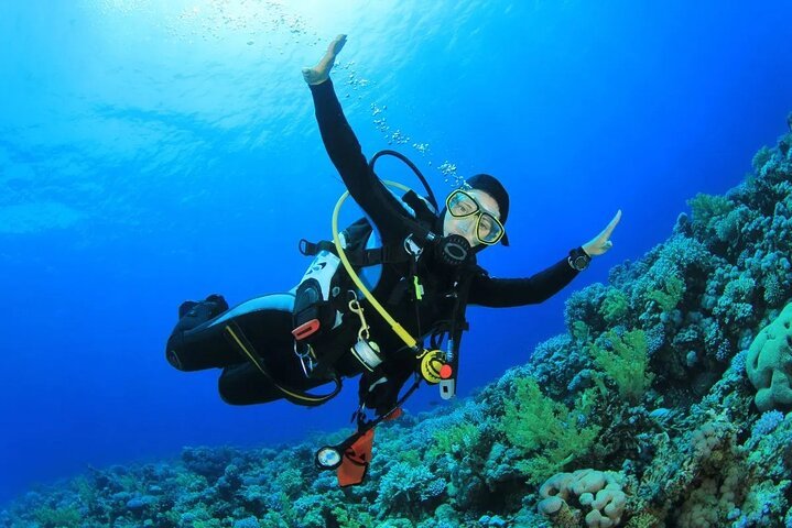 1-Hour Intro Beach Diving with Private Transfer from Sharm El Sheikh