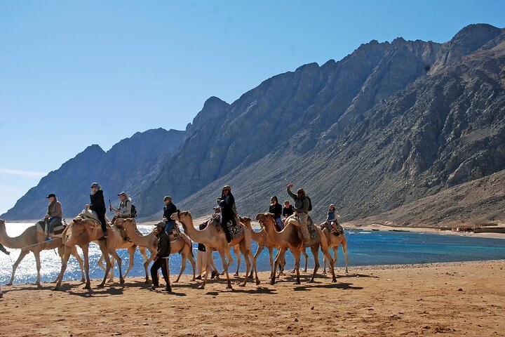Blue Hole & Dahab Guided Day Trip from Sharm El Sheikh