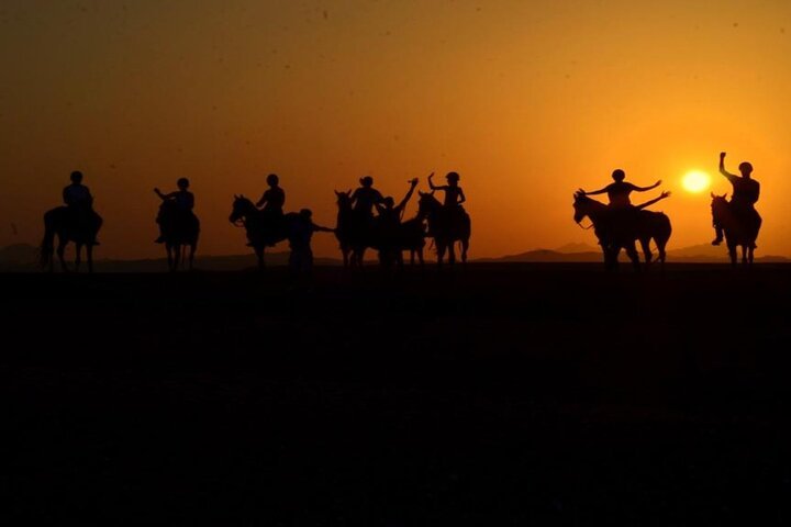 3-Hour Sunrise Horse Riding Beach & Desert from Marsa Alam