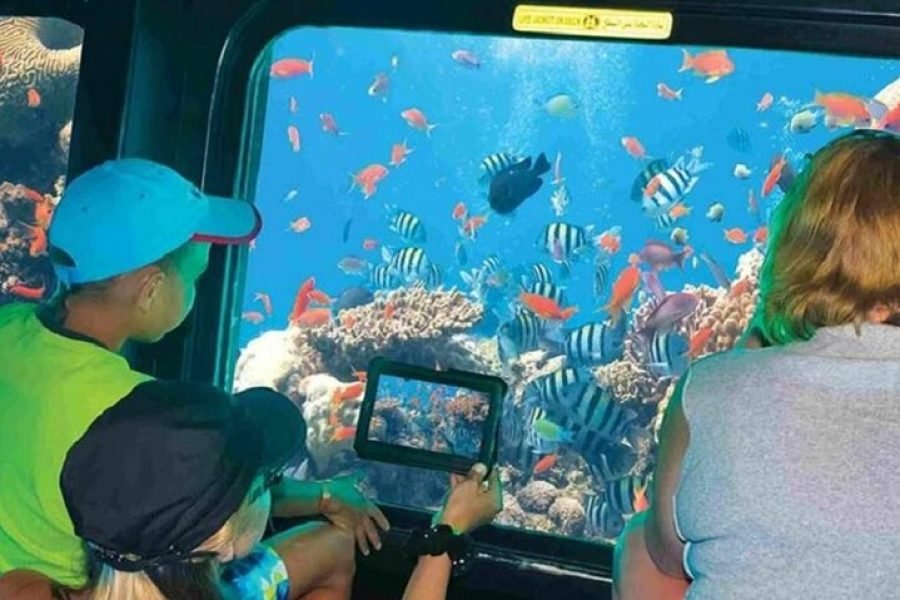 Paradise Conquest Semi-Submarine & Snorkeling Adventure from Hurghada