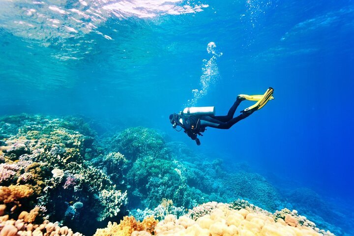 1-Hour Intro Beach Diving with Private Transfer from Sharm El Sheikh
