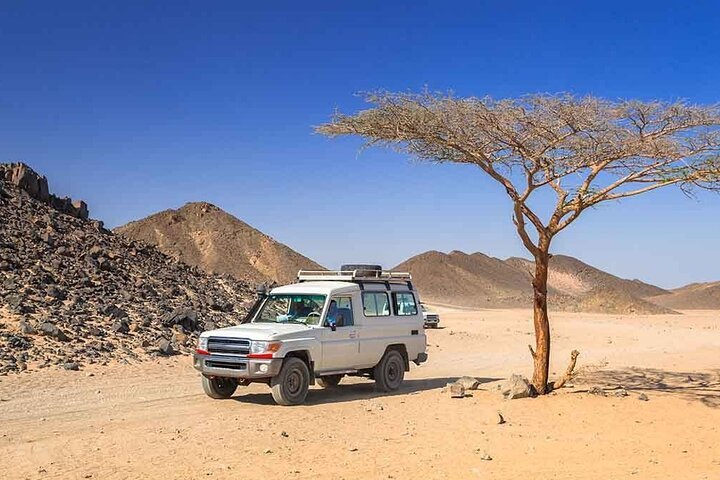 Safari nel deserto in jeep e cena beduina con osservazione delle stelle da Hurghada.