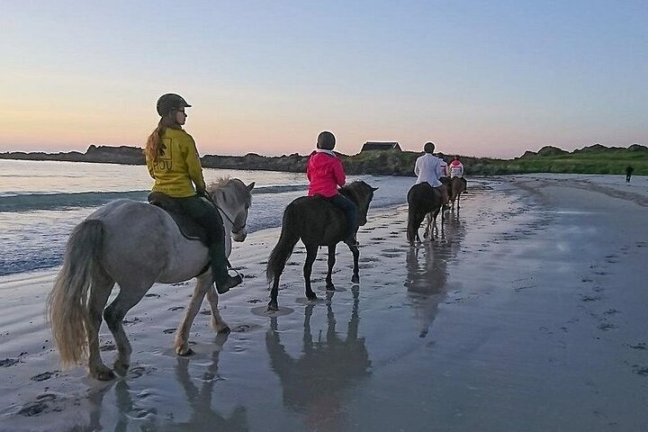 3-Hour Sunrise Horse Riding Beach & Desert from Marsa Alam