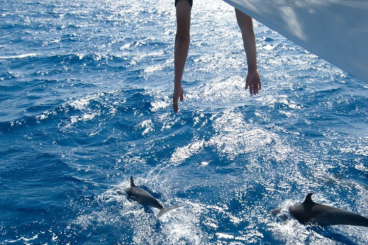Dolphin House Snorkeling Cruise with Lunch & Water Sports from Hurghada