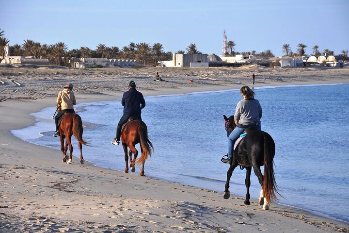3-Hour Sunrise Horse Riding Beach & Desert from Marsa Alam