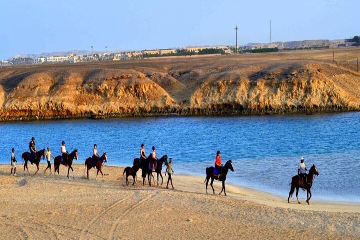 3-Hour Sunrise Horse Riding Beach & Desert from Marsa Alam