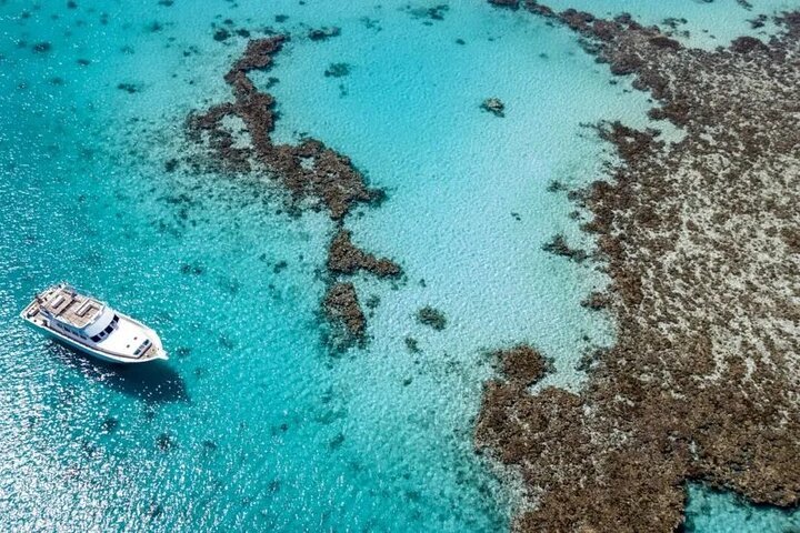 Velocità privata all'isola di Mahmya con pranzo e parasailing da Hurghada