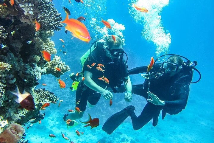 1-Hour Intro Beach Diving with Private Transfer from Sharm El Sheikh