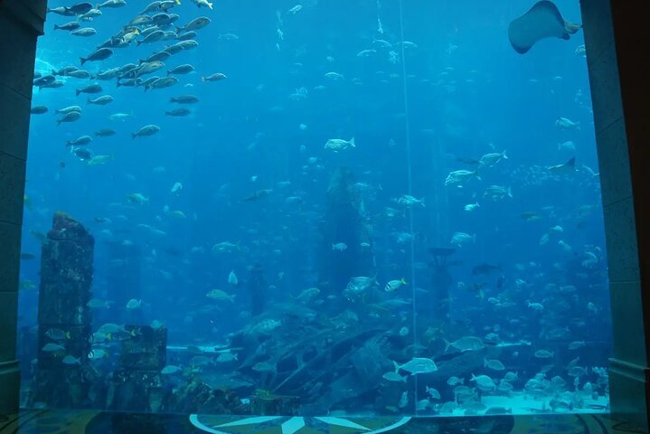 Atlantis Lost Chambers Aquarium avec transfert partagé - Dubaï