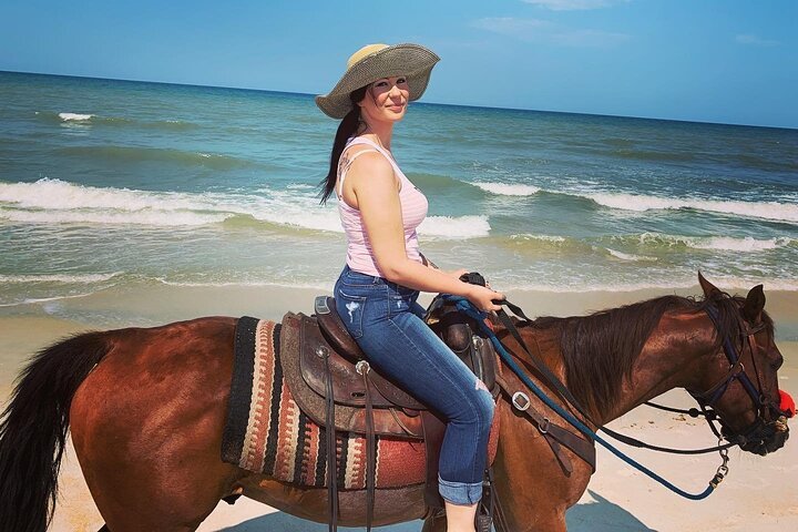 Expérience de 3 heures de nage avec les chevaux à Hurghada