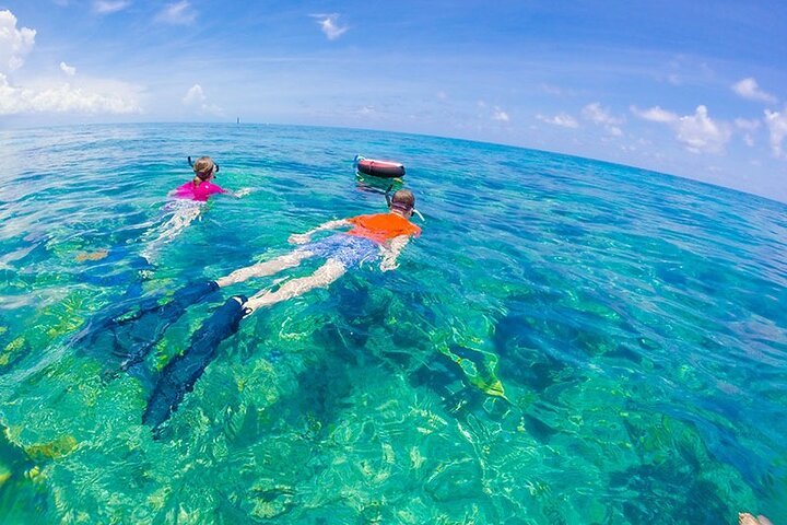 Delphinhaus-Schnorchelabenteuer am Samadai-Riff ab Marsa Alam