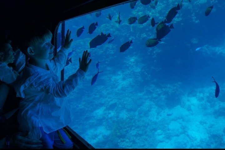 Semi-Submarine Underwater Tour with Transfer in Sharm El Sheikh