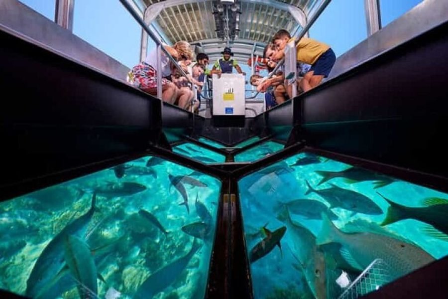 1-Hour Glass-Bottom Boat Tour with Private Transfer from Sharm El Sheikh
