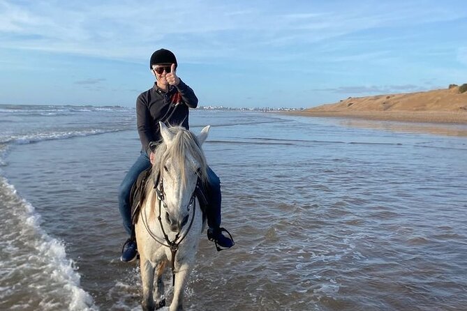 Horse Swimming & Beach Ride Adventure in Sharm El-Sheikh