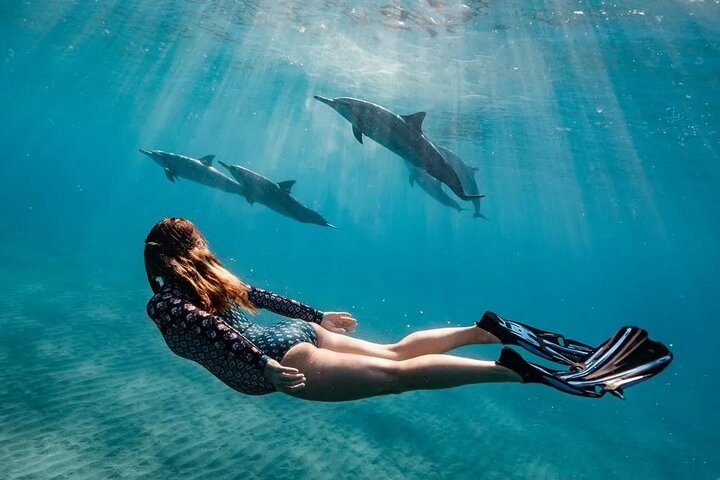 Dolphin House Snorkeling Cruise with Lunch & Water Sports from Hurghada