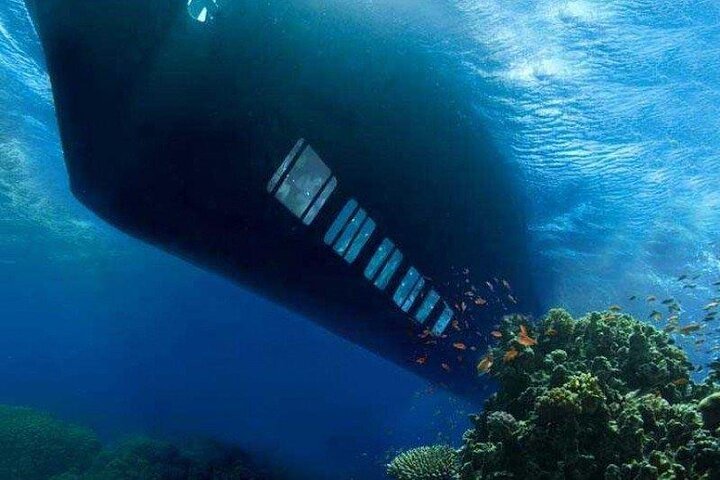 Semi-Submarine Underwater Tour with Transfer in Sharm El Sheikh