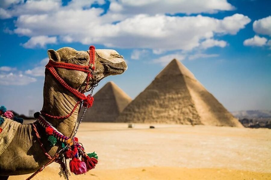 Cairo, Pyramids & New Egyptian Museum Semi-Private Tour from Hurghada