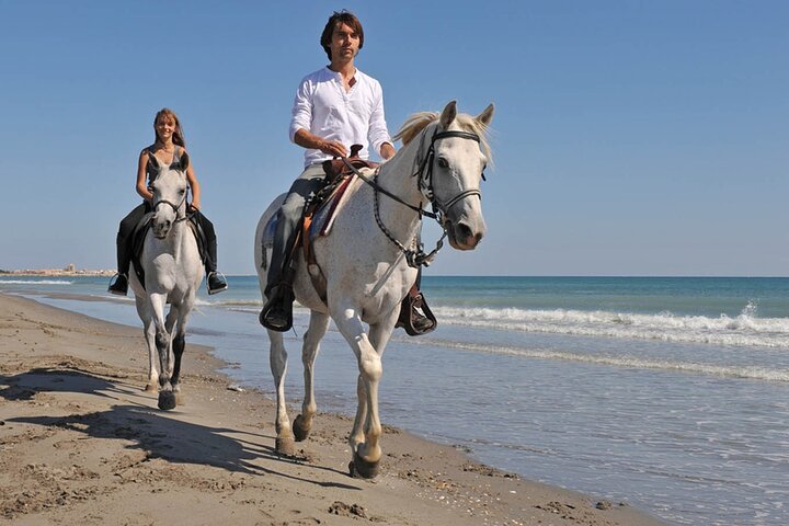 Expérience de 3 heures de nage avec les chevaux à Hurghada