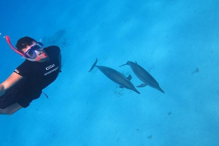 Snorkeling with Dolphins & Lunch at Sataya Reef from Marsa Alam