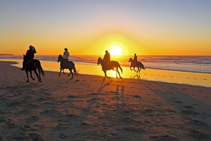 3-Hour Sunrise Horse Riding Beach & Desert from Marsa Alam