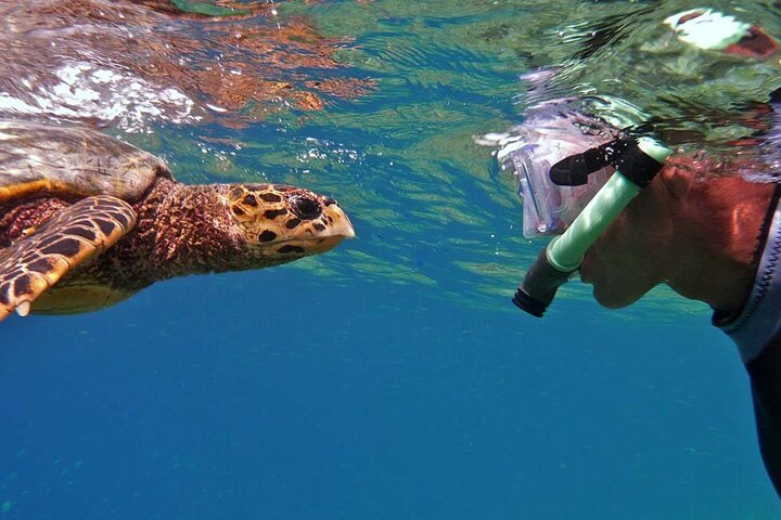 Hamata Island Schnorchelausflug mit Mittagessen ab Marsa Alam