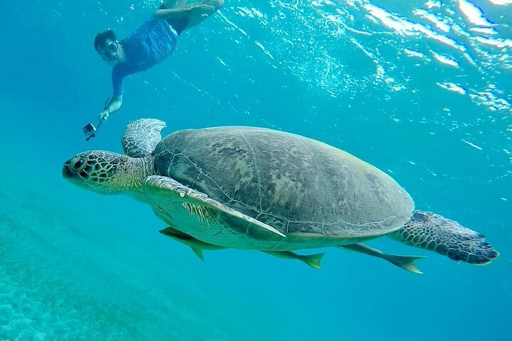 Abu Dabab Semi-Private Snorkeling Trip with Entrance & Lunch from Hurghada
