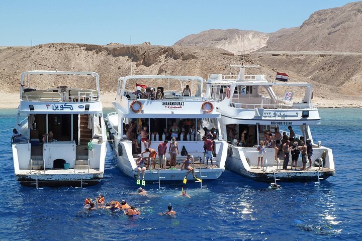 Croisière de plongée en apnée d'une journée avec déjeuner et sports nautiques depuis Hurghada
