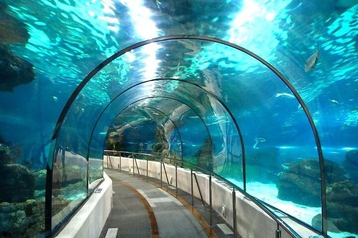 Hurghada Grand Aquarium Entdeckungstour mit Tickets & Transfers