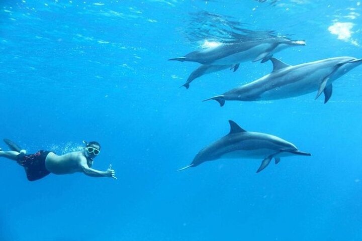 Dolphin House Snorkeling Cruise with Lunch & Water Sports from Hurghada