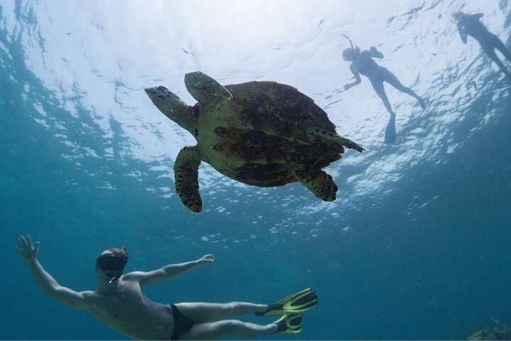 Abu Dabab Semi-Private Snorkeling Trip with Entrance & Lunch from Hurghada