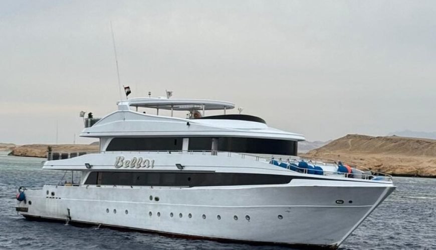 Ras Mohamed et White Island Snorkeling au départ de Sharm El Sheikh