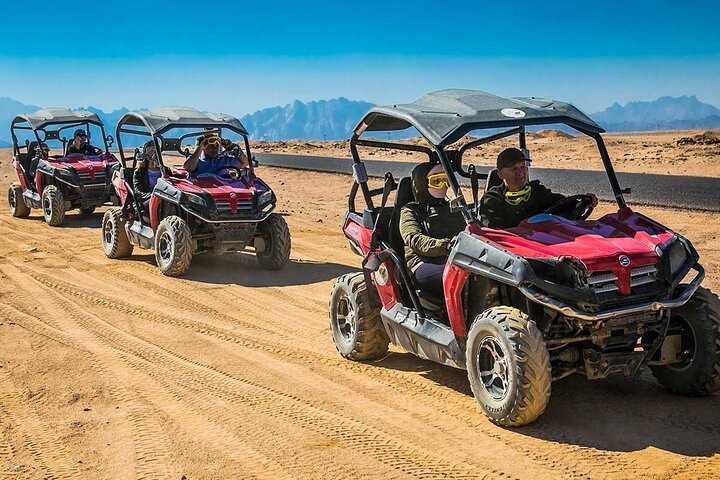 Spinnenwagen-Buggy-Wüstenabenteuer mit Kamelritt ab Marsa Alam
