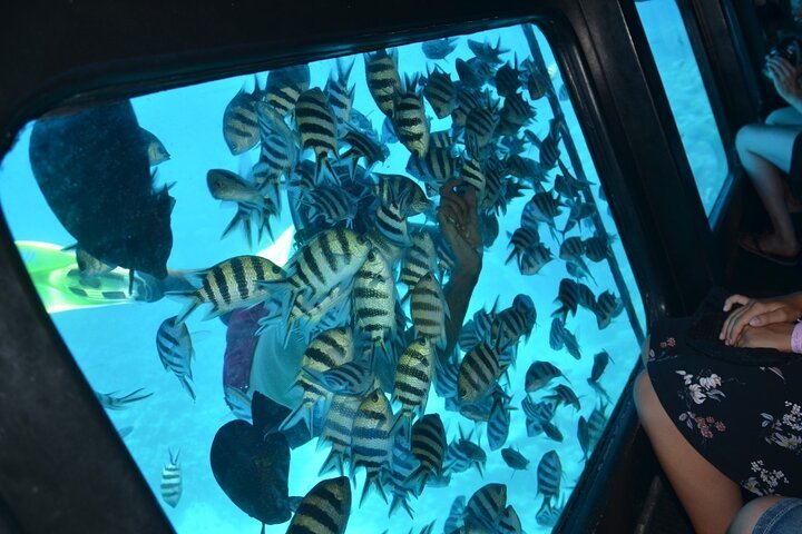 El Gouna Semi-U-Boot-Seefahrt ab Abu Tig Marina