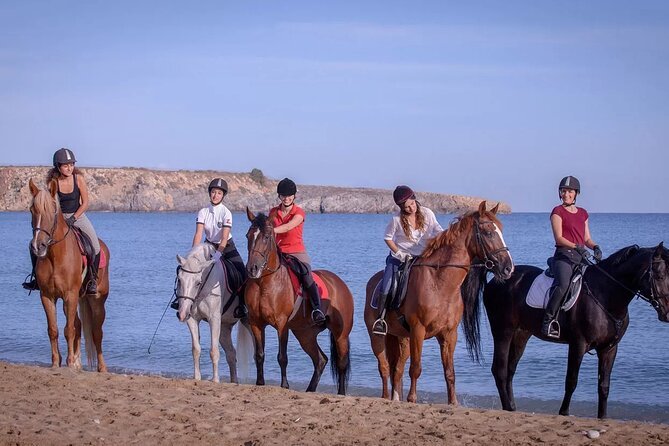 Horse Swimming & Beach Ride Adventure in Sharm El-Sheikh