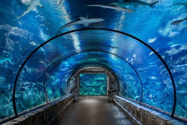 Hurghada Grand Aquarium Entdeckungstour mit Tickets & Transfers