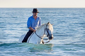 Horse Swimming & Beach Ride Adventure in Sharm El-Sheikh